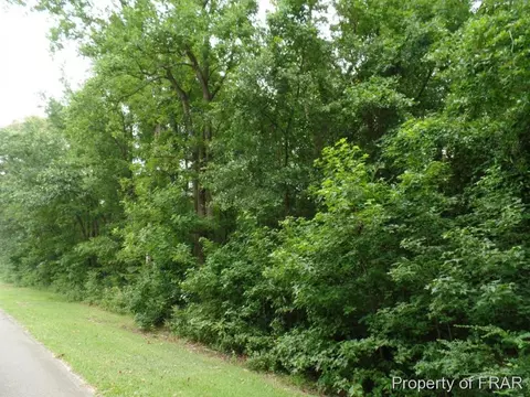 415 Carter Rd, Lumber Bridge, NC 28357 photo 23