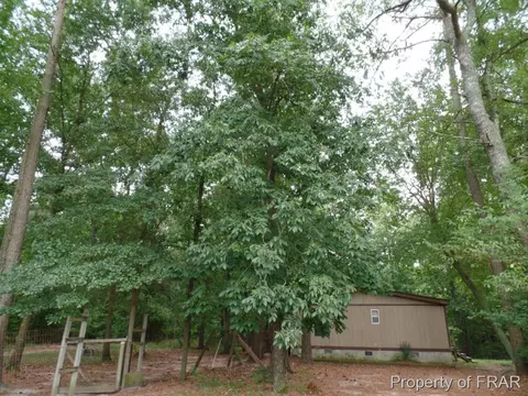 415 Carter Rd, Lumber Bridge, NC 28357 photo 19