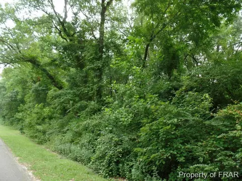 415 Carter Rd, Lumber Bridge, NC 28357 photo 21