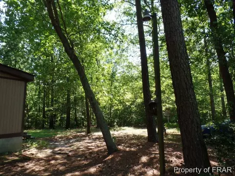 415 Carter Rd, Lumber Bridge, NC 28357 photo 2