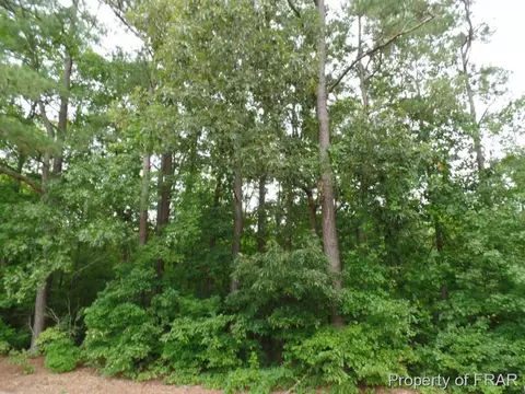 415 Carter Rd, Lumber Bridge, NC 28357 photo 27