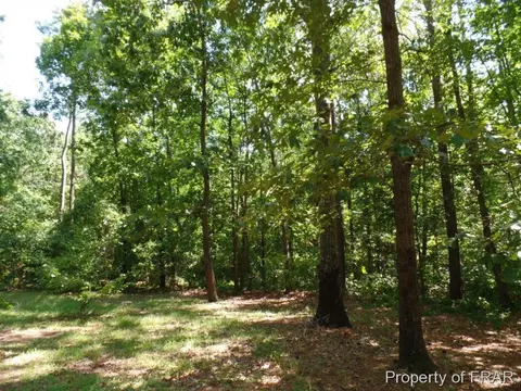 415 Carter Rd, Lumber Bridge, NC 28357 photo 4