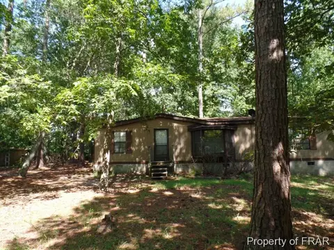 415 Carter Rd, Lumber Bridge, NC 28357 photo 1