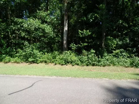 415 Carter Rd, Lumber Bridge, NC 28357 photo 10