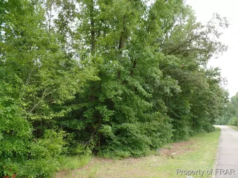 415 Carter Rd, Lumber Bridge, NC 28357 photo 26