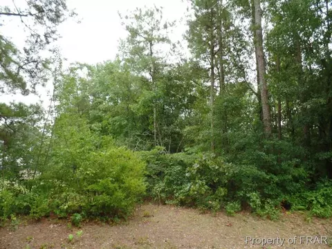 415 Carter Rd, Lumber Bridge, NC 28357 photo 29