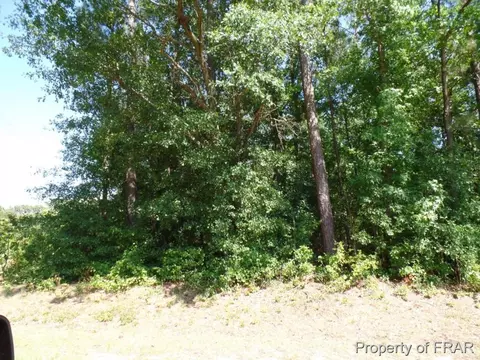 415 Carter Rd, Lumber Bridge, NC 28357 photo 11