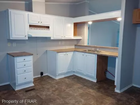 358 Capel Mill Rd, Candor, NC 27229 photo 3