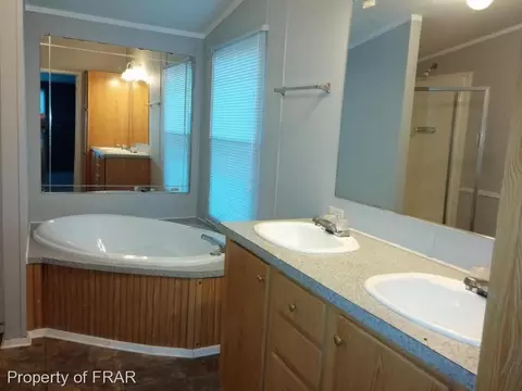 358 Capel Mill Rd, Candor, NC 27229 photo 6