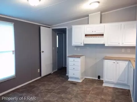 358 Capel Mill Rd, Candor, NC 27229 photo 2
