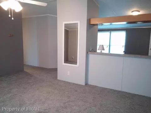 358 Capel Mill Rd, Candor, NC 27229 photo 11