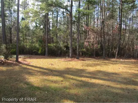 155 Falling Water, Spring Lake, NC 28390 photo 29