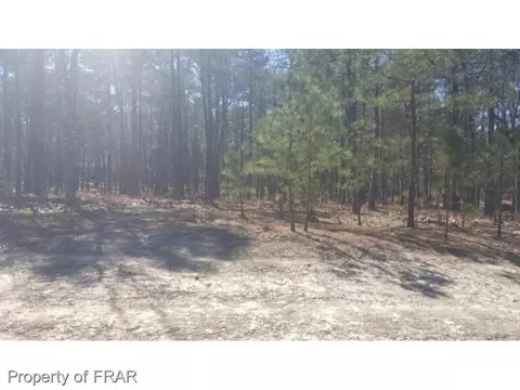 96 Stoneykirk Dr, Pinehurst, NC 28374 photo 3