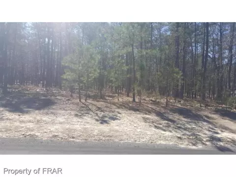 96 Stoneykirk Dr, Pinehurst, NC 28374 photo 2