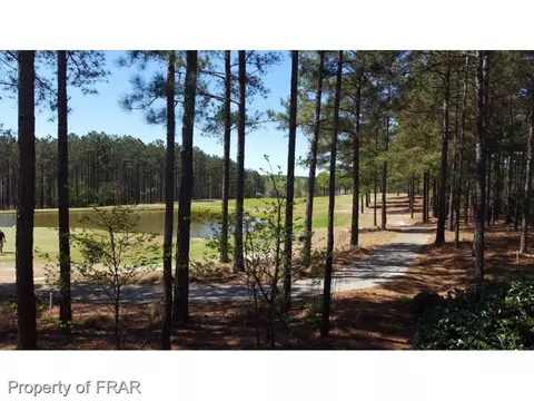 78 Pinehawk, Spring Lake, NC 28390 photo 29