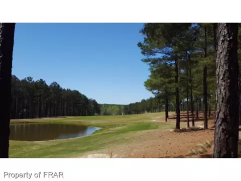 78 Pinehawk, Spring Lake, NC 28390 photo 30