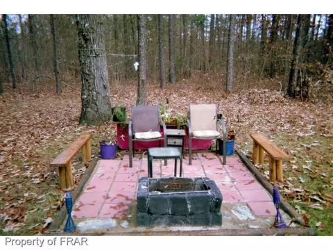 17529 Corbitt Rd, Laurel Hill, NC 28351 photo 13