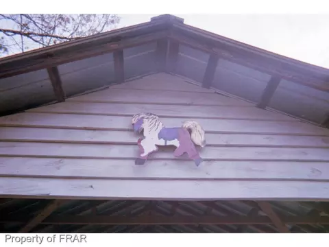 17529 Corbitt Rd, Laurel Hill, NC 28351 photo 6