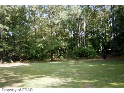 17529 Corbitt Rd, Laurel Hill, NC 28351 photo 17