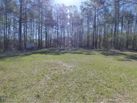 17529 Corbitt Rd, Laurel Hill, NC 28351 photo 15