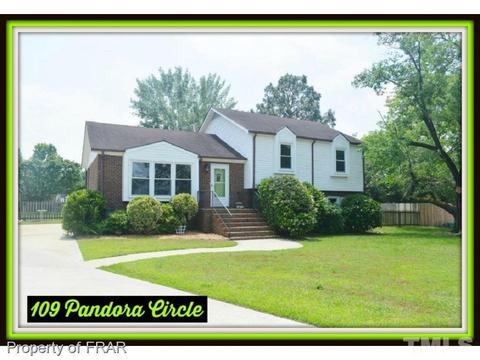 109 Pandora Cir, Erwin, NC 28339 photo 1