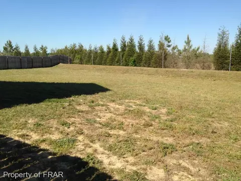 285 Crane Way, Bunnlevel, NC 28323 photo 3