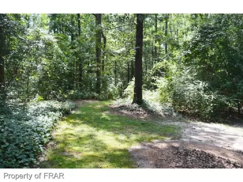 151 Pebblestone Ct, Willow Spring, NC 27592 photo 22