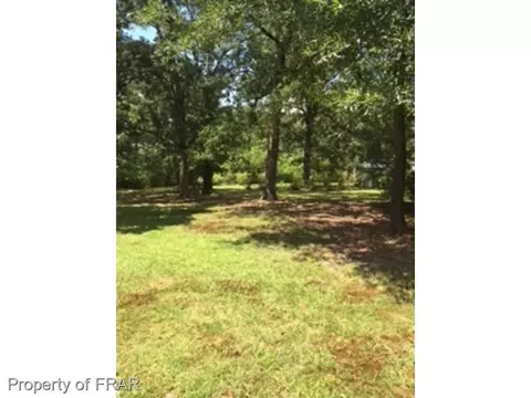 53 Buffalo St E, Bennett, NC 27208 photo 3