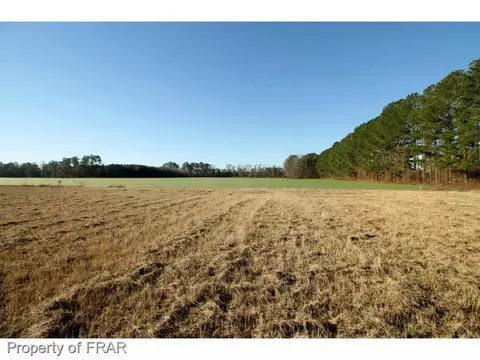 2841 Hayfield Rd, Wade, NC 28395 photo 27