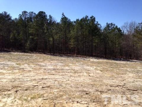 757 Juno Dr, Broadway, NC 27505 photo 23
