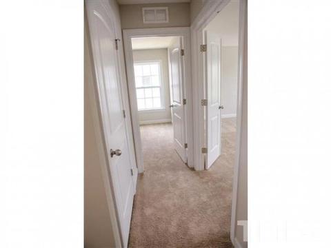 12 Chippewa Cv, Cameron, NC 28326 photo 34