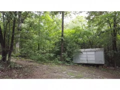 1236 Pine Forrest Rd, Cameron, NC 28326 photo 27