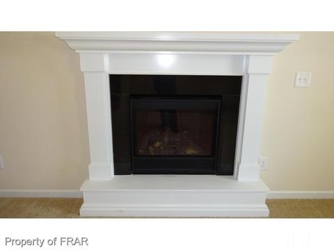 719 Wood Point Dr, Bunnlevel, NC 28323 photo 15