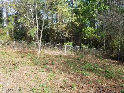 93 Hawksworth Pl, Cameron, NC 28326 photo 3