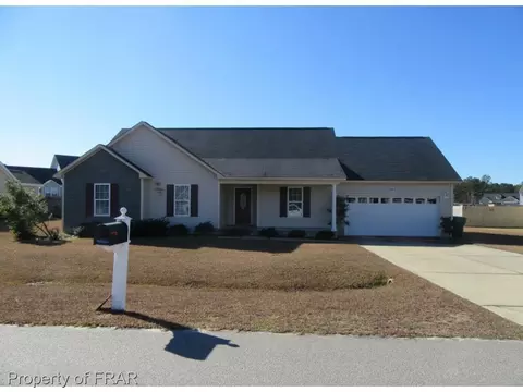 925 Raspberry Rd, Stedman, NC 28391 photo 1