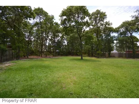 54 Micro Ct, Broadway, NC 27505 photo 28