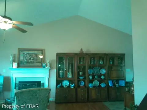 185 Emma Ln, Raeford, NC 28376 photo 20