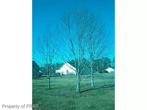 185 Emma Ln, Raeford, NC 28376 photo 31