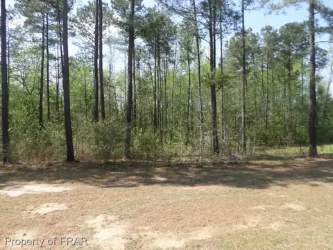 266 Tactical Dr, Bunnlevel, NC 28323 photo 30