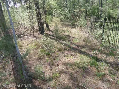 266 Tactical Dr, Bunnlevel, NC 28323 photo 26