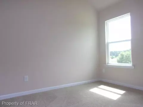 151 Ellis Rd, Lumber Bridge, NC 28357 photo 30