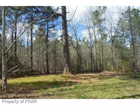 6284 Bluman Rd, Godwin, NC 28344 photo 6