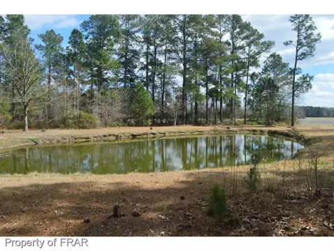 6284 Bluman Rd, Godwin, NC 28344 photo 8