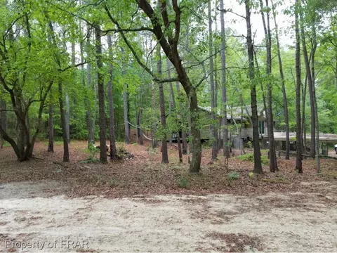 420 Farley Rd, Cameron, NC 28326 photo 3