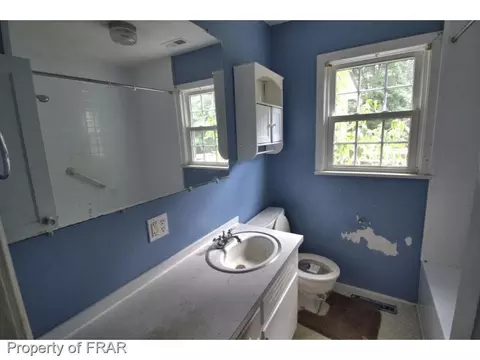 6911 Albert St, Dublin, NC 28332 photo 10