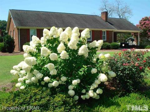 207 E D St, Erwin, NC 28339 photo 24