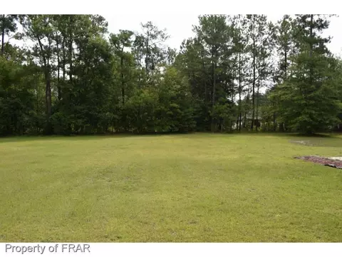 106 Switch, Hamlet, NC 28345 photo 4