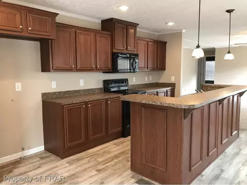 386 Moncure Loop Rd, Moncure, NC 27559 photo 9