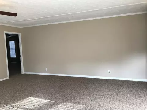 386 Moncure Loop Rd, Moncure, NC 27559 photo 5