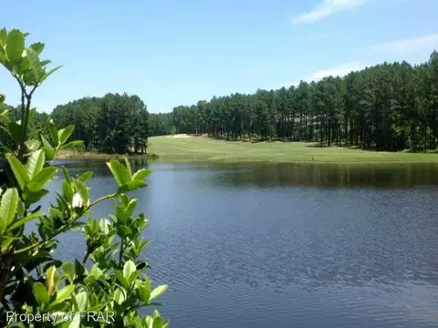 441 Falling Water Rd, Spring Lake, NC 28390 photo 30